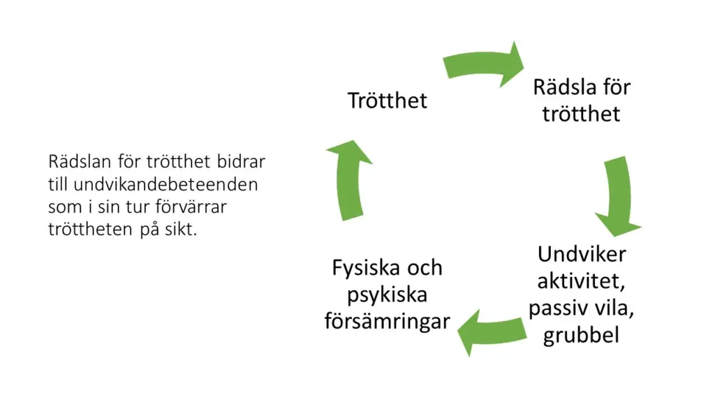 Rädsla för trötthet leder till ökad trötthet